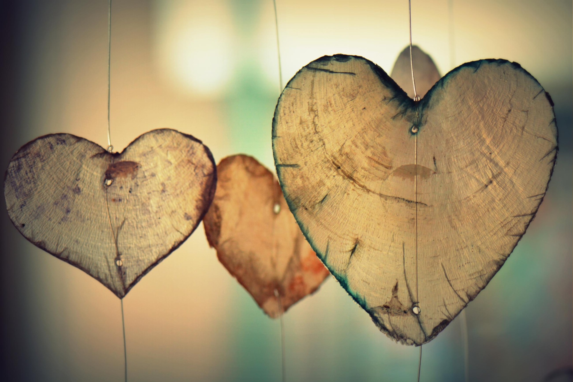 Heart love romance valentine