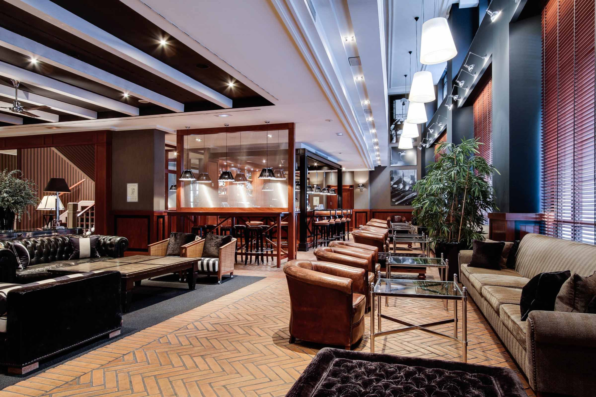 Le bar dispose de sièges en cuir, de tables, d’un comptoir éclairé et de plantes décoratives à l’intérieur.