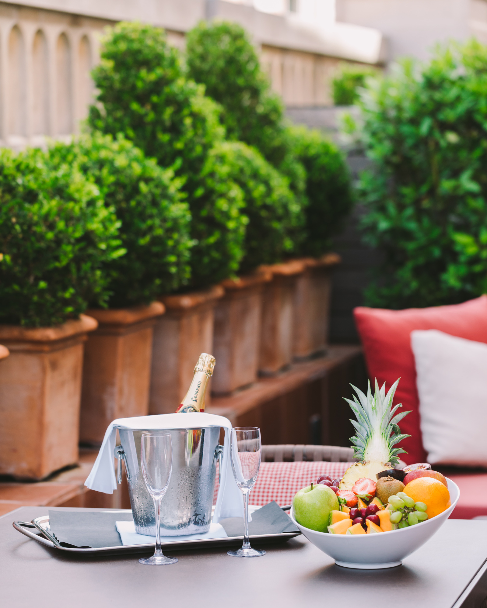 A table on the terrace is set with plates of fruit, glasses, and a bottle, with cushions and shrubs in planters around it.
