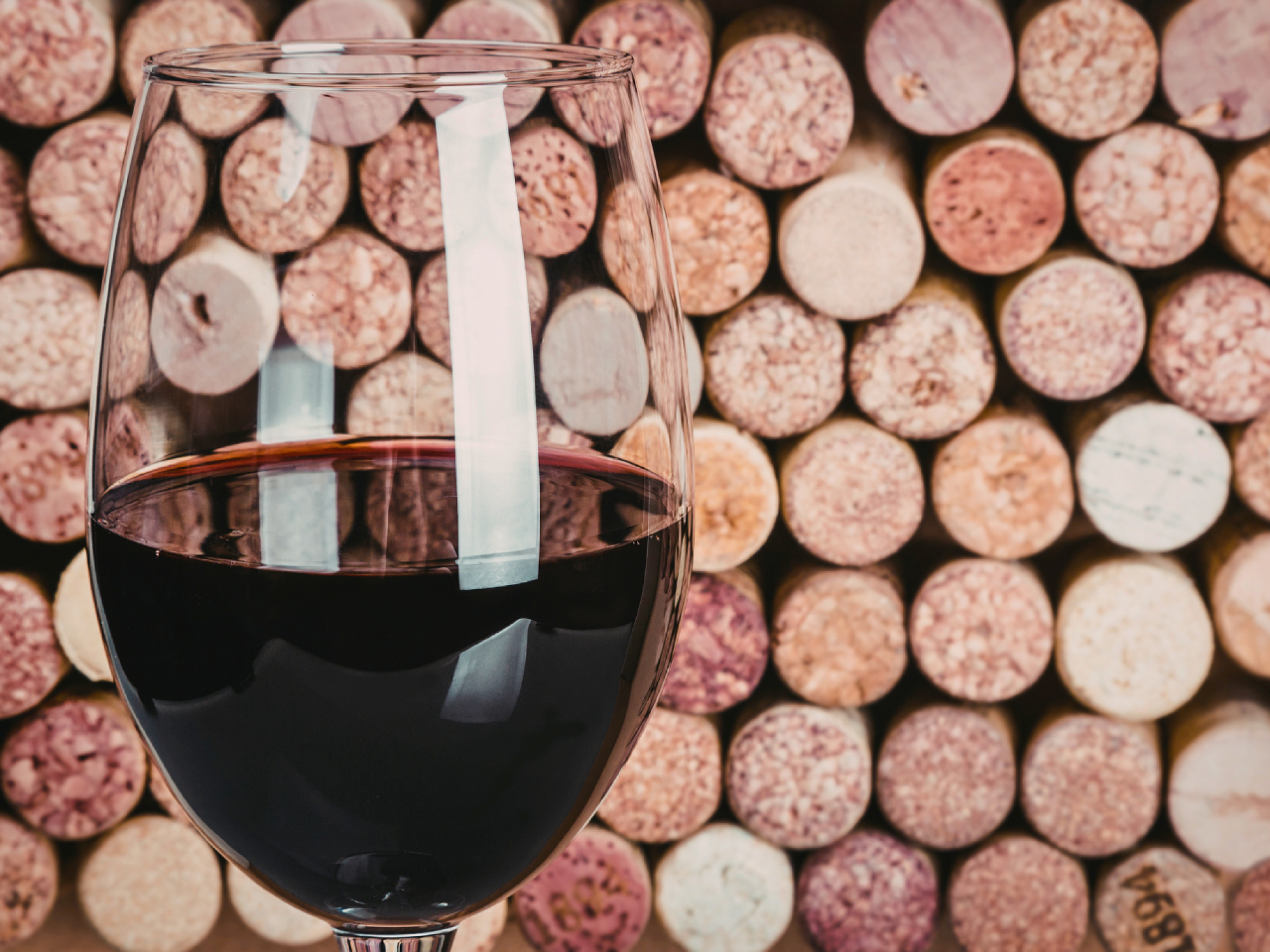 Feria del Vino en el Priorat - The Origin Hotels Collection