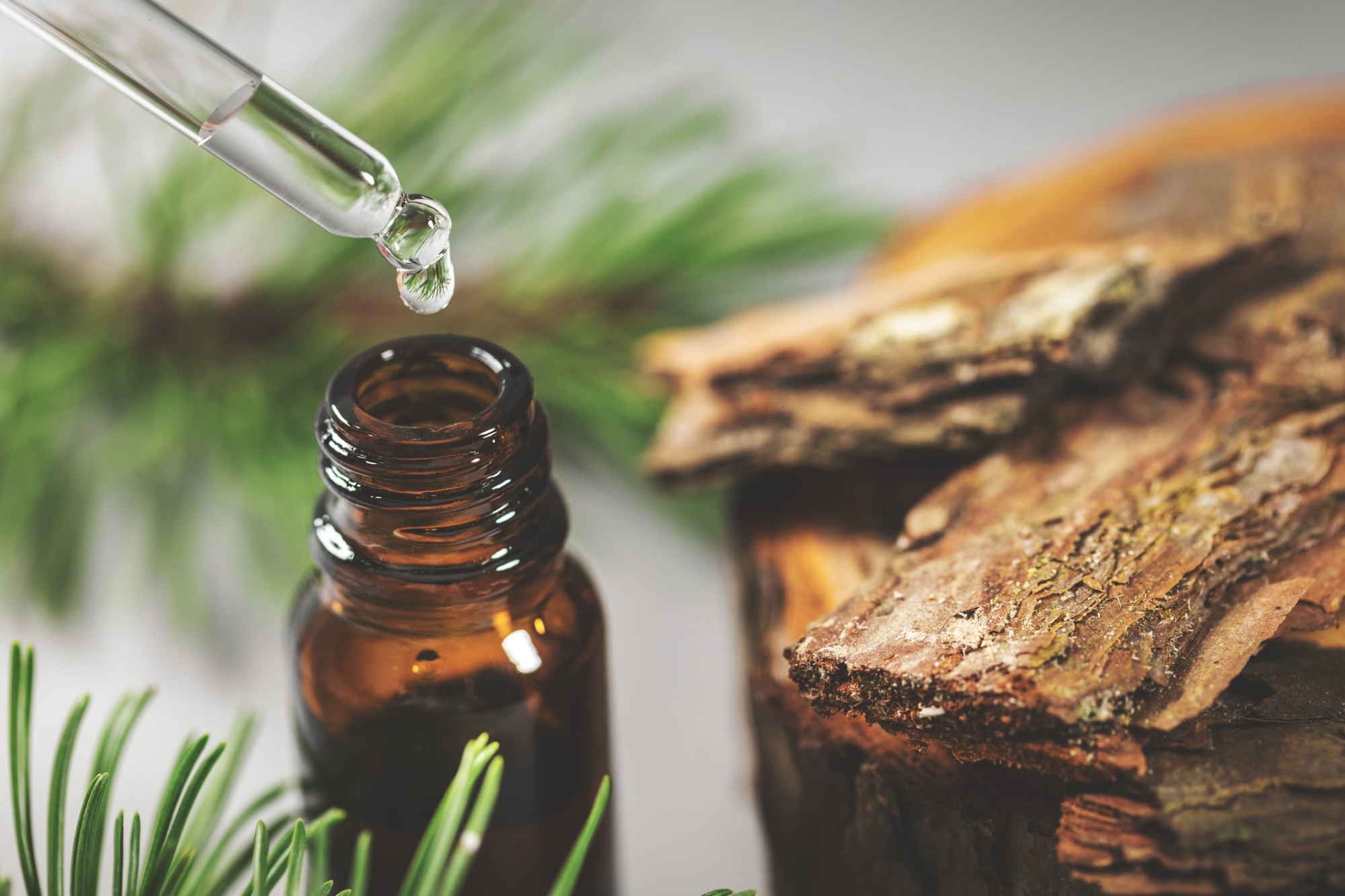 Aceite