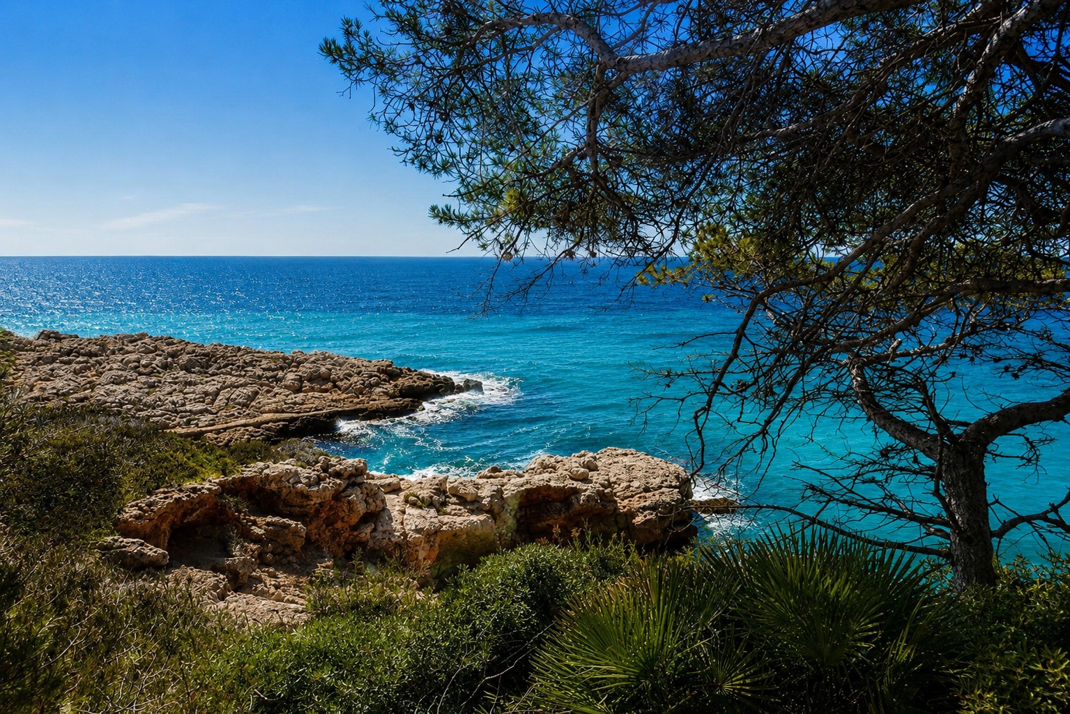 CAPsalou