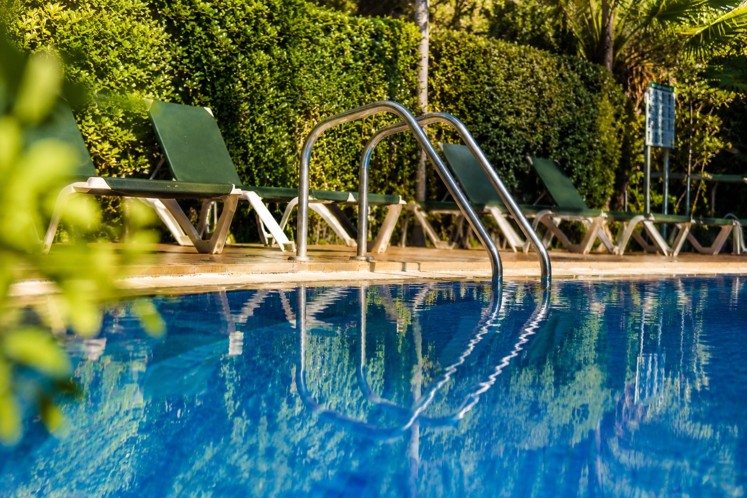 Se ve una piscina azul con tumbonas alrededor y vegetación en el entorno.