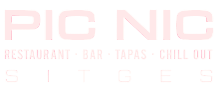 Picnic logo 1 Photoroom 1