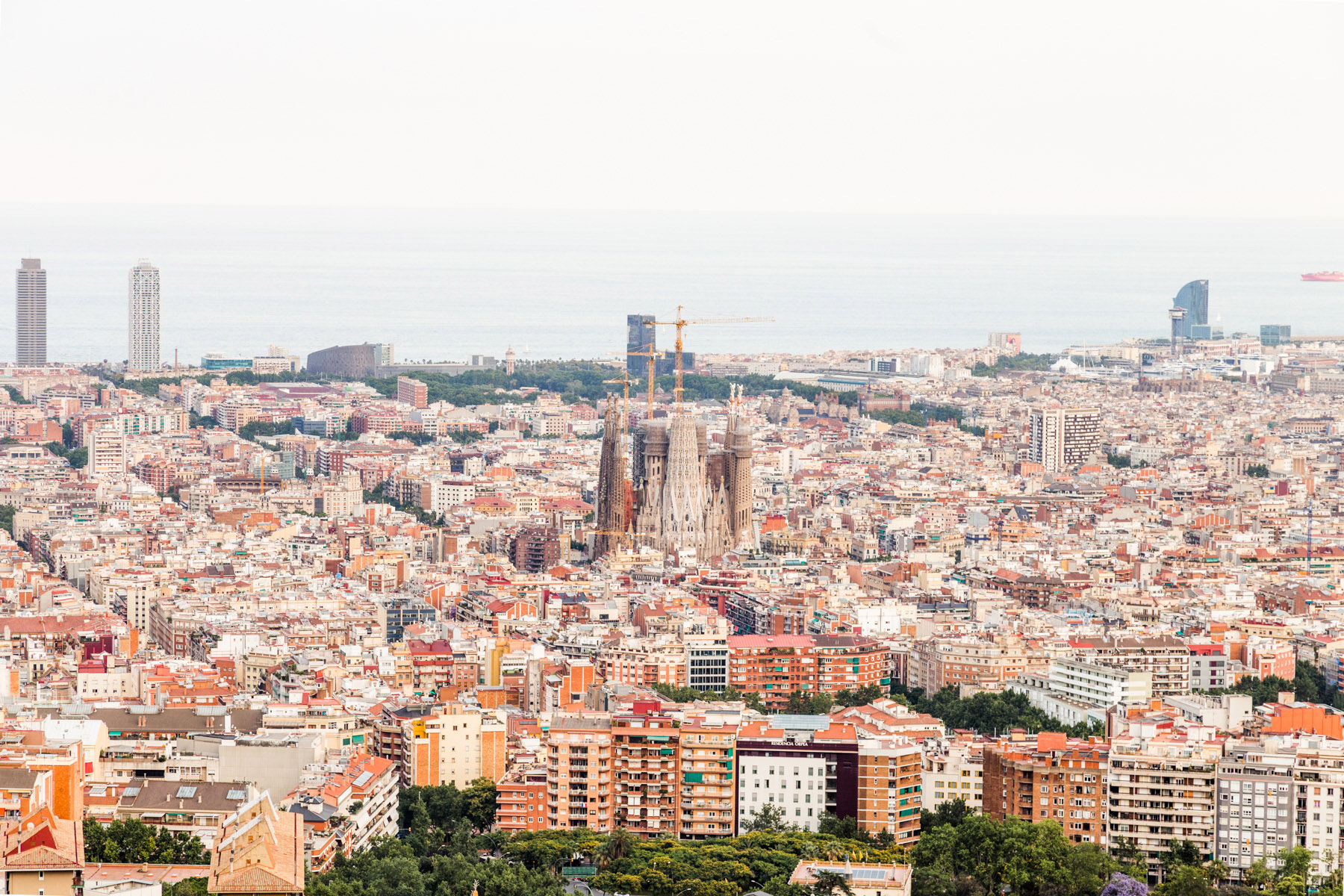 Se ve una vista panorámica de Barcelona con edificios y la Sagrada Família al centro.