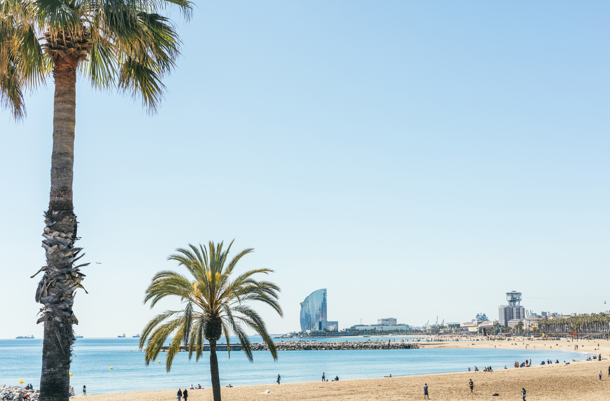 Si vede una spiaggia con palme, bagnanti e il mare sullo sfondo.