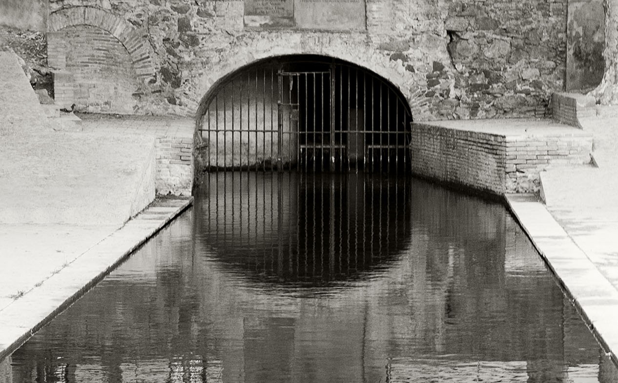 Una piscina interior refleja la luz y está rodeada por paredes de piedra con una reja en forma de arco.