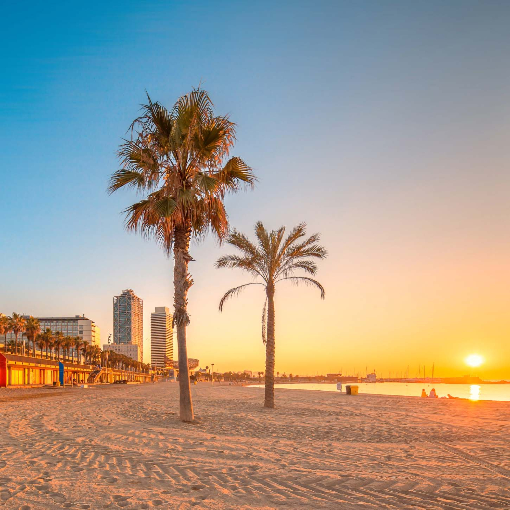 Reservas Anticipadas de Verano | Hotel Granvia