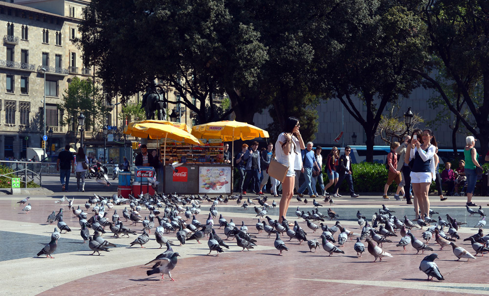 Ci sono persone che camminano e dei piccioni in una piazza urbana con edifici sullo sfondo.