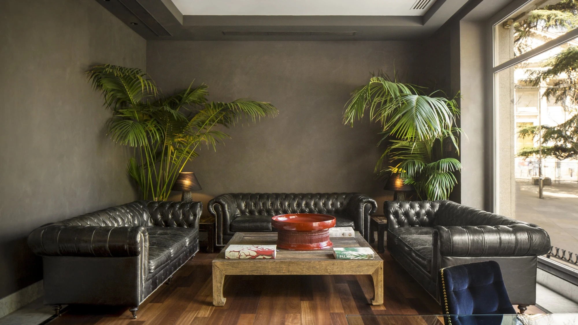Se ve un lobby con dos sofás de cuero, una mesa de centro de madera y plantas junto a una ventana.