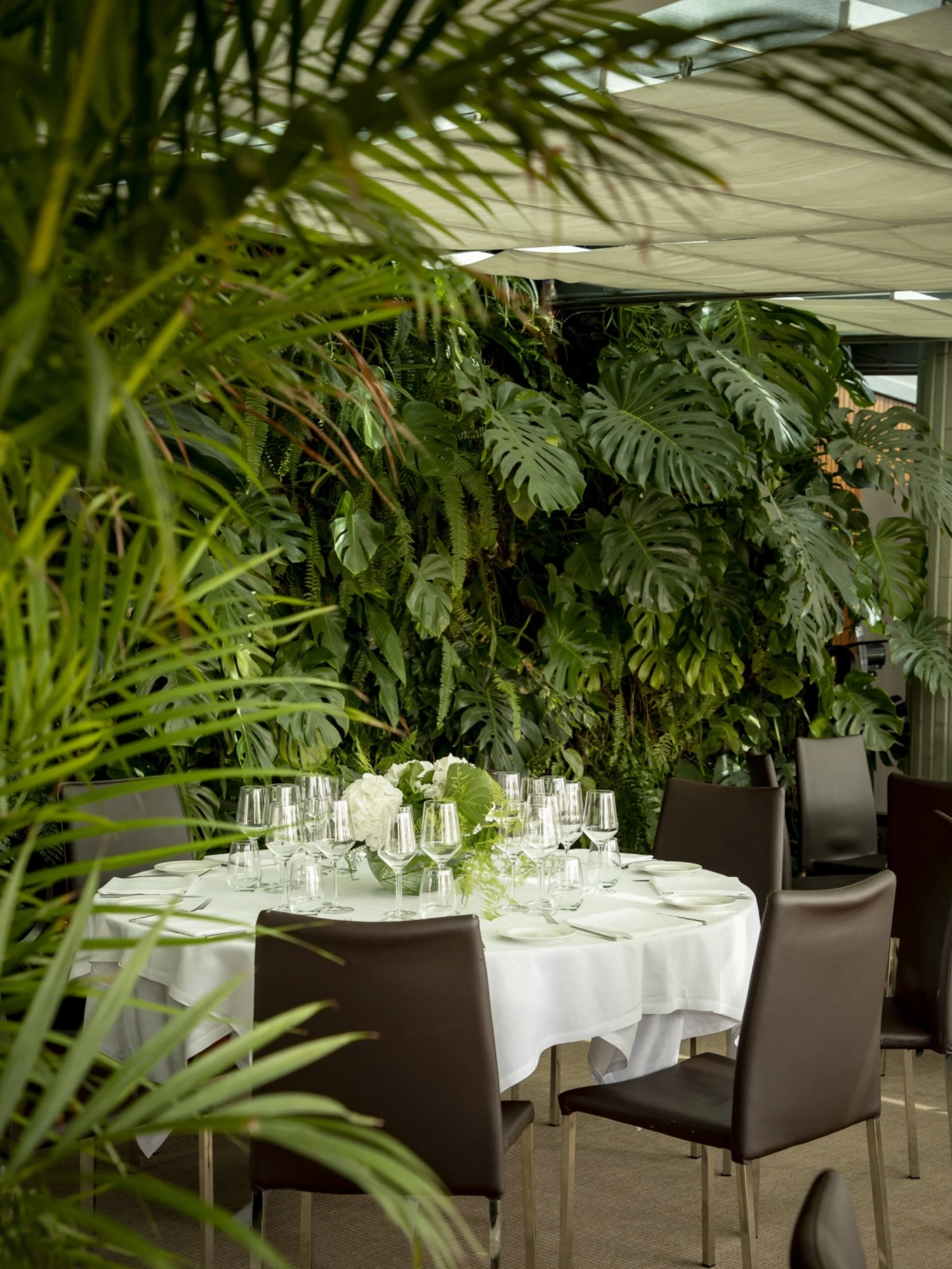 Una elegante sala de banquetes con mesas redondas cubiertas con manteles blancos y sillas decorativas, ideal para eventos y celebraciones. La decoración es moderna y sofisticada, creando un ambiente acogedor y formal.