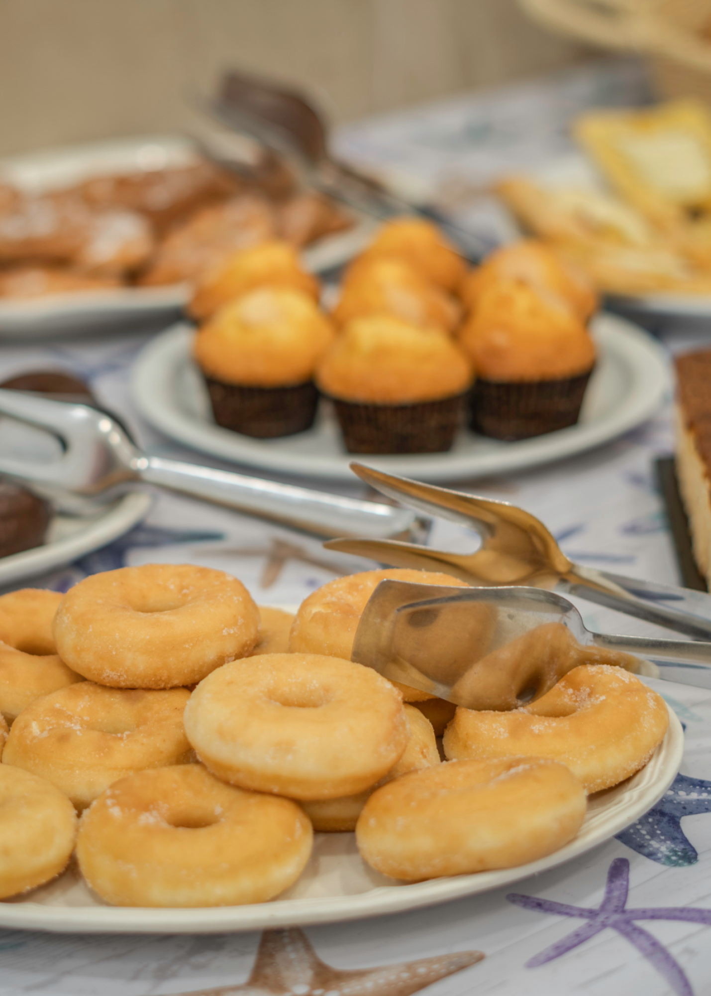 Desayuno hotel Tolosa