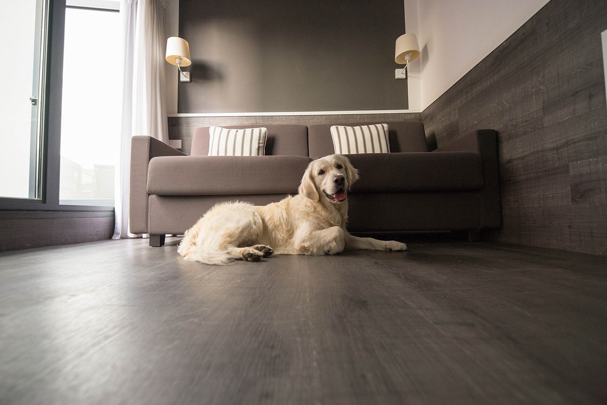 Pet friendly - Hotel Paral·lel | Barcelona