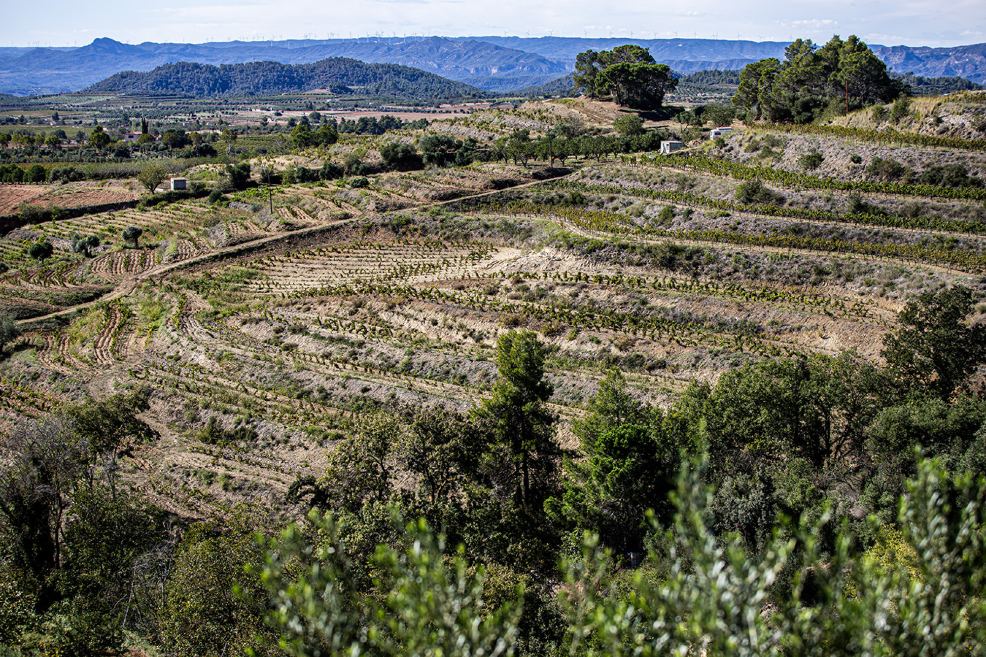 Priorat Aparthotel