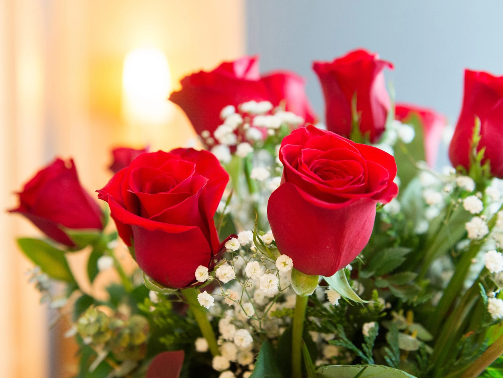 Rosas rojas en primer plano con flores blancas y hojas verdes sobre un fondo desenfocado.
